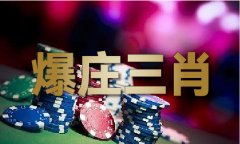 2024澳门精准12码