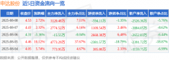 申达股份（600626）8月8日从力资金净买入312048万元